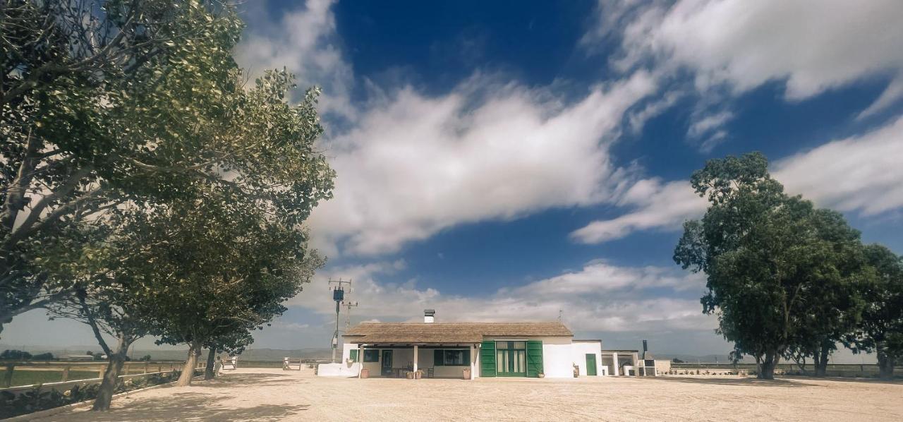 Masia Blanca Deltebre Exterior foto